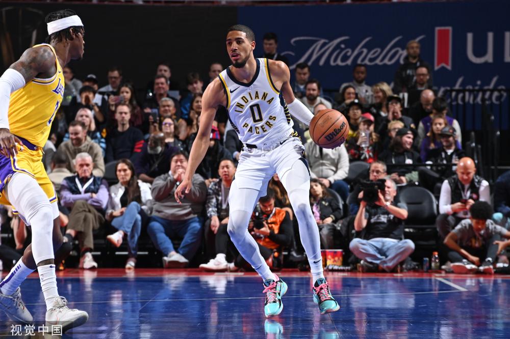 发芽土豆会 发芽土豆会